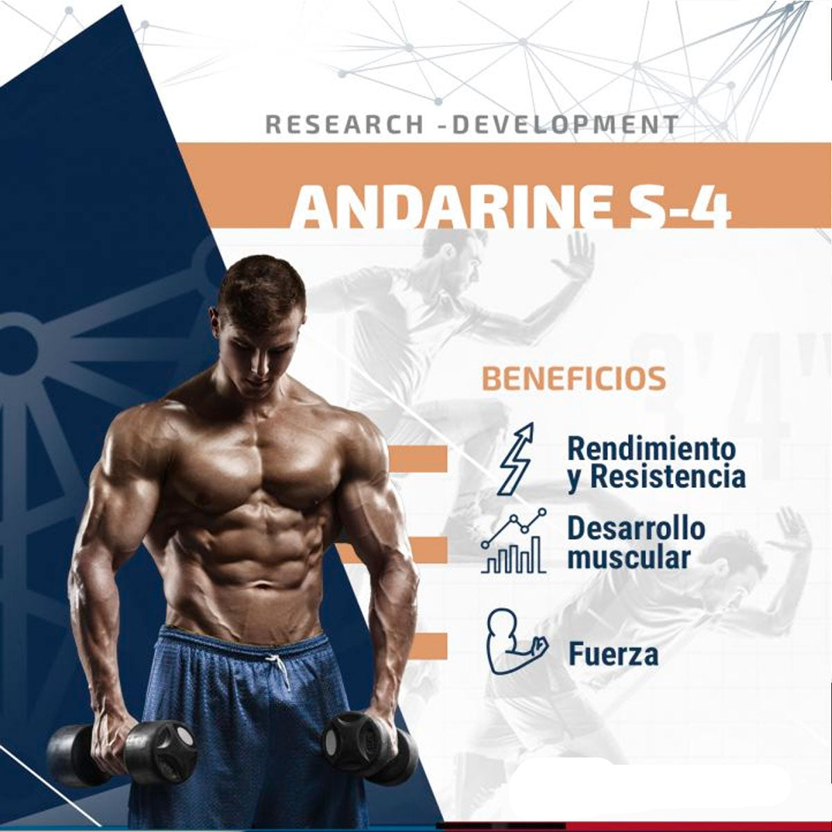 Andarine (S-4) 50mg / 30ml | SARMS SYNERLAB - SARM