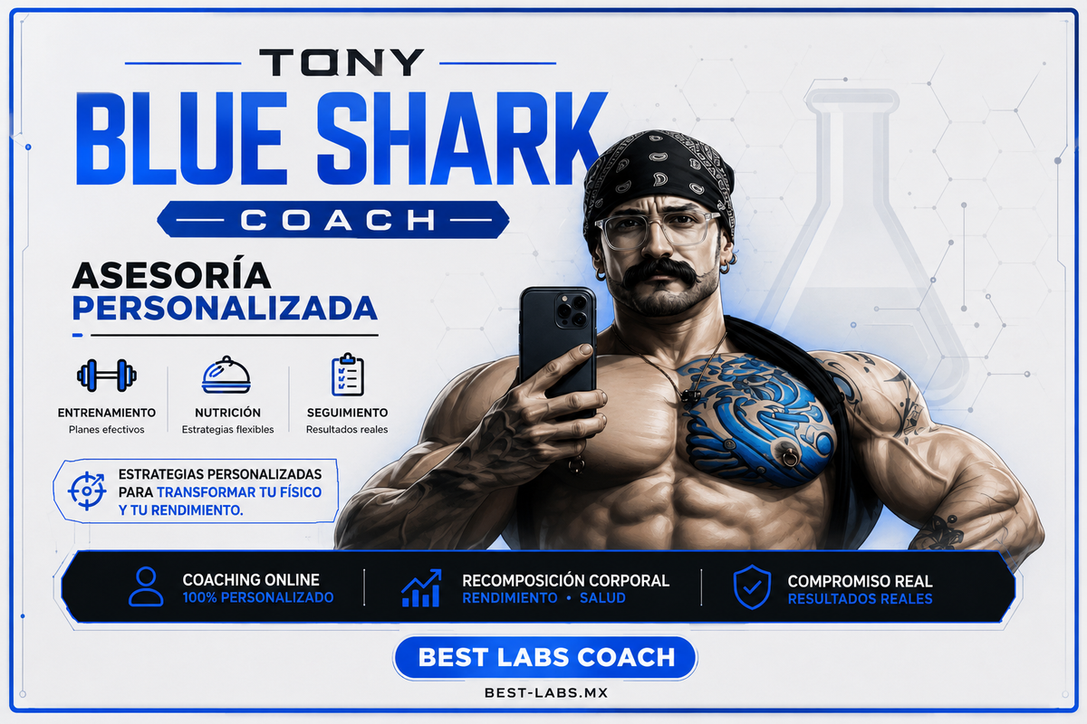 ASESORIA BLUESHARK
